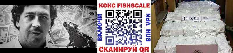 omg как зайти  Фрязино  COCAIN FishScale 