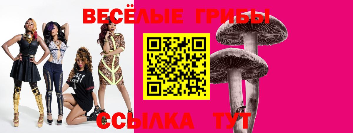 Галлюциногенные грибы Magic Shrooms  Галлюциногенные грибы мухоморы  хочу   Фрязино  Вход с VPN 