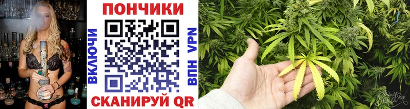 наркота  Фрязино  Конопля конопля 